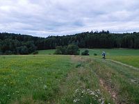 Výjezd z lesa Pod Kozincem ( Bohdalov)