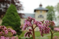 fotka uživatele LázněLipová