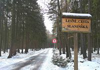 Lesní cesta Slaninská