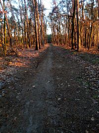 Nový Vestec, Káraný, Lázně Toušeň, Brandýs, Boleslav