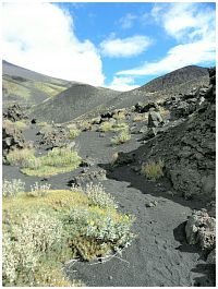 Etna, život se vrací