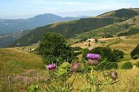 Passo di Cento Croci, Apeniny, Italie