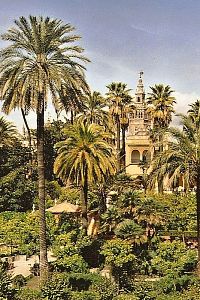 Sevilla, zahrady Alcazaru