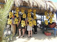 Vai, prodej místních banánů