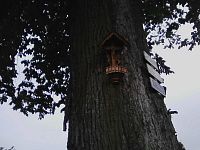 16. Dřevěný krucifix na stromě vedle rozcestníku.
