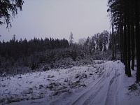 6. Dnešní cesta vedla mnoha lesy.