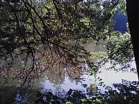 5. Zámecký rybník. Listí na stromech se již začíná barvit