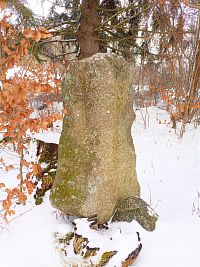 27. Veletínský menhir, zvaný V1