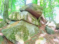 5. Bochníkovité kameny pod Homolí, HM4