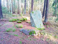 20. Jeden z nejznámějších kamenů v okolí, Horychová I, či Sedlčansko I. Okolo jsou odkryté placáky, jež tvoří dlážděný chodníček