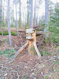 8. Dřevěných skulptur je na Petrovicku skutečně hodně, ale do přírody se hodí