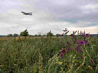 Planespotting letisko Viedeň