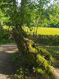 Pohádková cesta, Lesopark Na Sluneční Zahrada, Kořenov - Příchovice