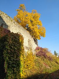 Sovinec - hrad v Moravskoslezském kraji, hradby