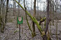 Hranice přírodní rezervace na turistické cestě z Pomezné proti proudu řeky Ohře ke státní hranici.