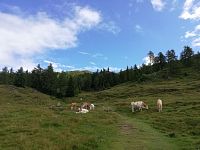 Lehká turistika v Alpách – okruh nad Millstätter See