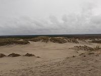 Písečné duny , místy porostlé
