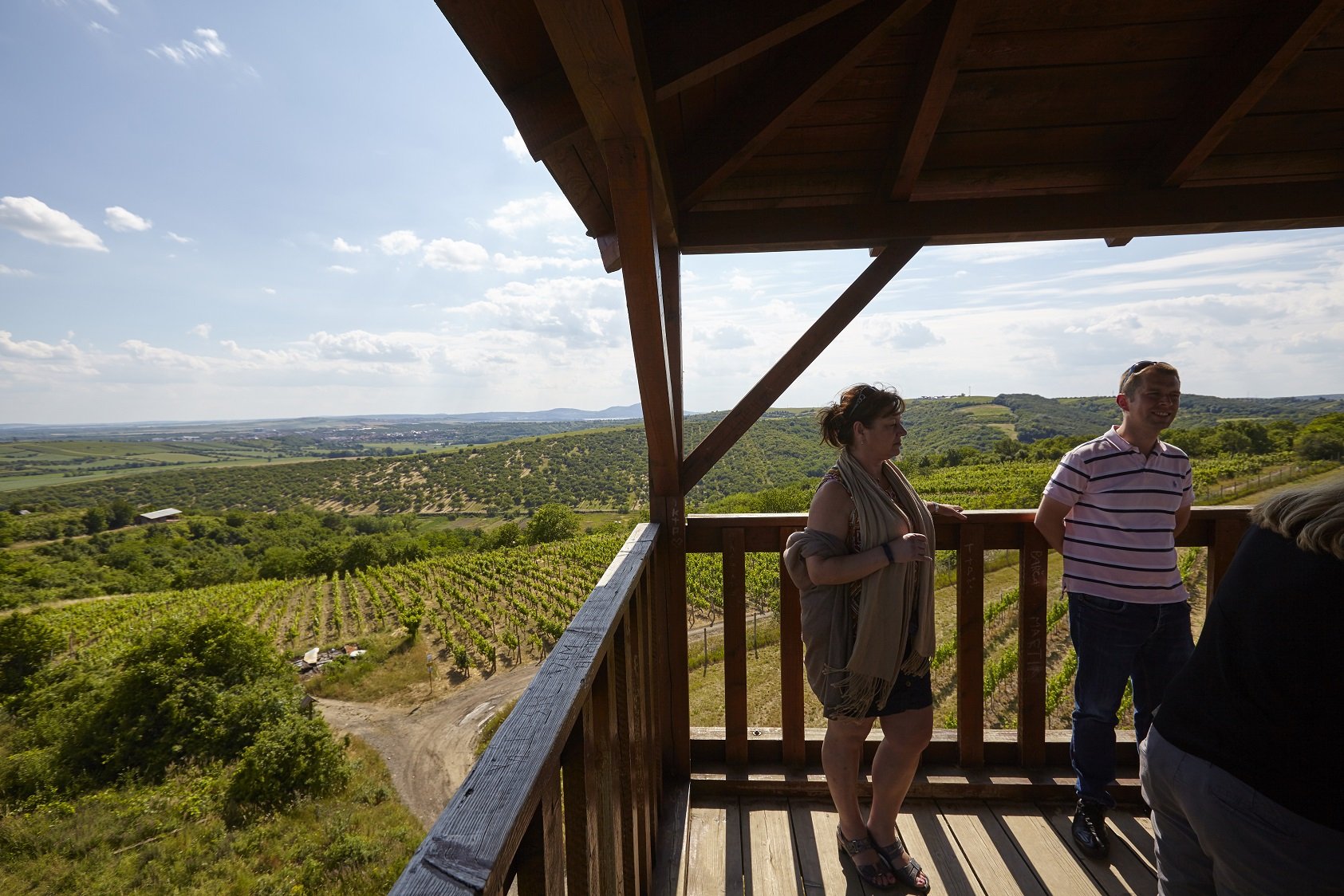 Kdy Na Rozhledny Ve Vinic Ch Tipy A Novinky Turistika Cz