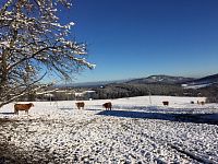 Zimní turistika v Pošumaví - pěšky i na běžkách nebo sněžnicích