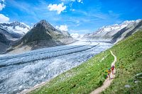 Bettmeralp, Trailrun © Switzerland Tourism/PatitucciPhoto