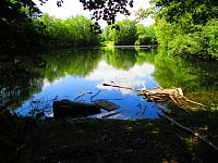 Keprtův rybník (Hradec Králové)