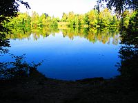Písník pod Ornstovými jezery (Hradec Králové)