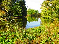 Farské jezero (Hradec Králové)