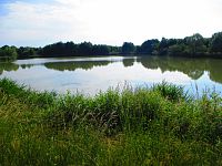 Rybník Frešle (Librantice)