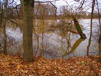 Staré Labe u Třebše (Hradec Králové)