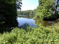 Rybník Rozhrna (Bukovka)