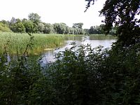 Tichý rybník (Lázně Bohdaneč)