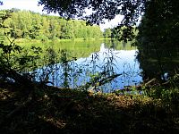 Horní zábranský rybník (Lázně Bohdaneč)