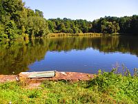 Nový zábranský rybník (Lázně Bohdaneč)