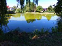 Obecní rybník ve Svinarech (Hradec Králové)
