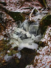 Údolí Starodvorského potoka u Třemošnice