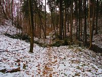 Údolí Starodvorského potoka (Třemošnice)