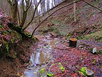 Čertova rokle (Brandýs nad Orlicí)