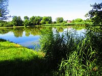 Vrškovský rybník (Libišany)