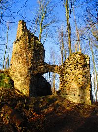 Zřícenina hradu Oheb (Seč-Ústupky)