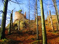 Zřícenina hradu Oheb (Seč-Ústupky)