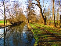 Malý Labský náhon mezi Temešvárem a Březhradem (Hradec Králové)