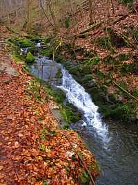 Lovětínský potok (Podhradí)