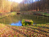 Rybník U studánky v lese