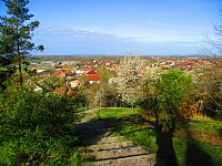 Pohled z Milířského kopce (Vysoká nad Labem)