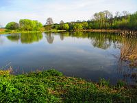 Rybník Utopenec (Ronov nad Doubravou)