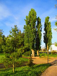 Šimkovy sady (Hradec Králové)