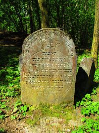 Židovský hřbitov (Hoješín)