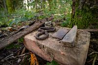 I takové věci připomínají lidská sídla, autor fotografie: Matouš Horáček Objevte zapomenutá sídla Českého lesa – místa, kde na vás dýchne neopakovatelná atmosféra