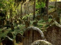 Židovská hřbitov