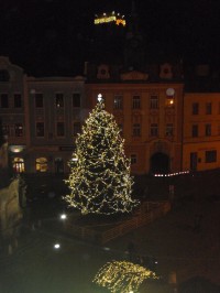 vánoční strom v Jindřichově Hradci